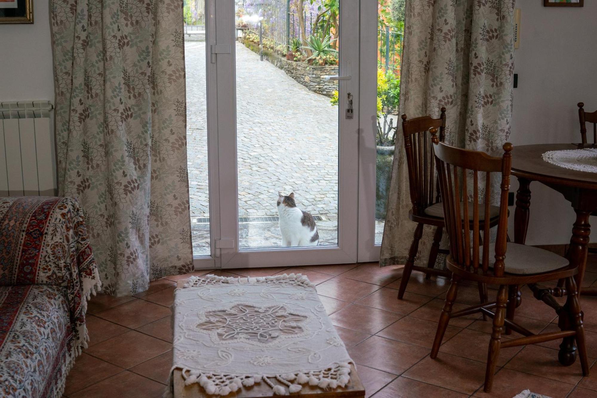 B&B collina e mare Camogli Esterno foto