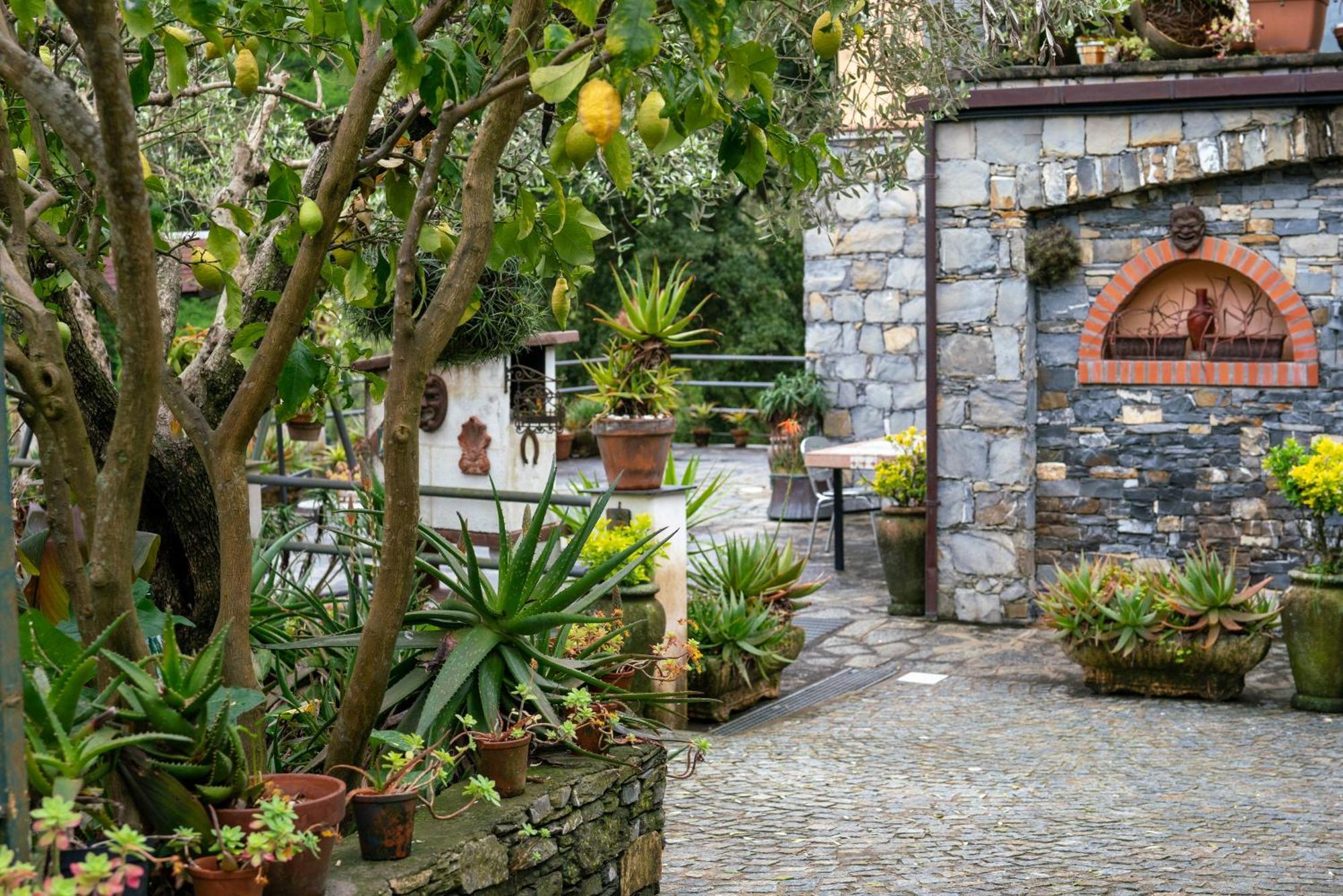 B&B collina e mare Camogli Esterno foto